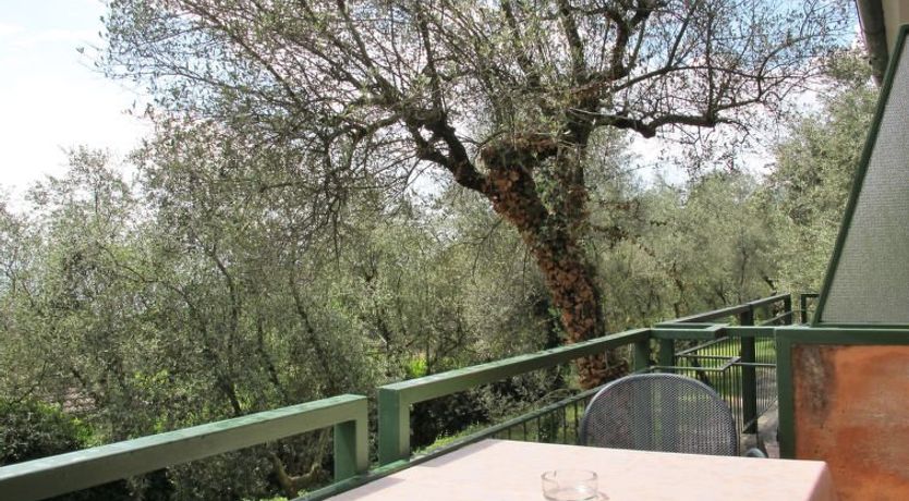 Photo of Parco del Garda