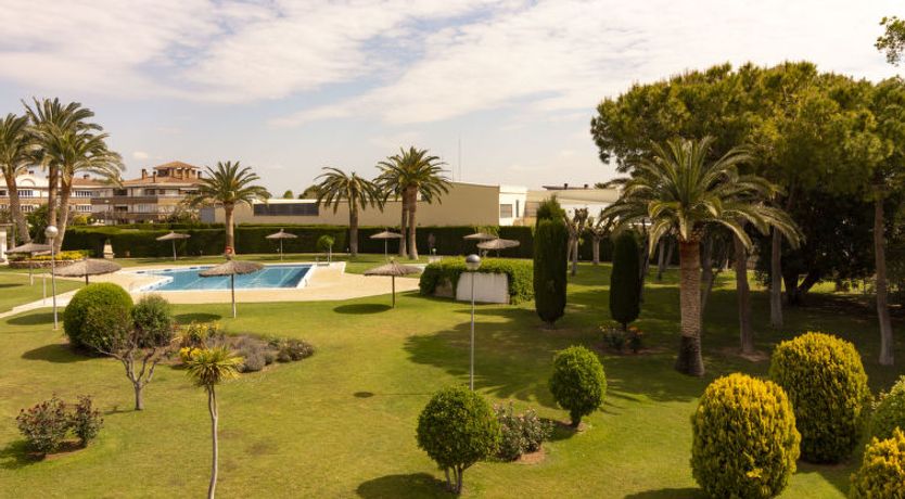 Photo of Euro Golden