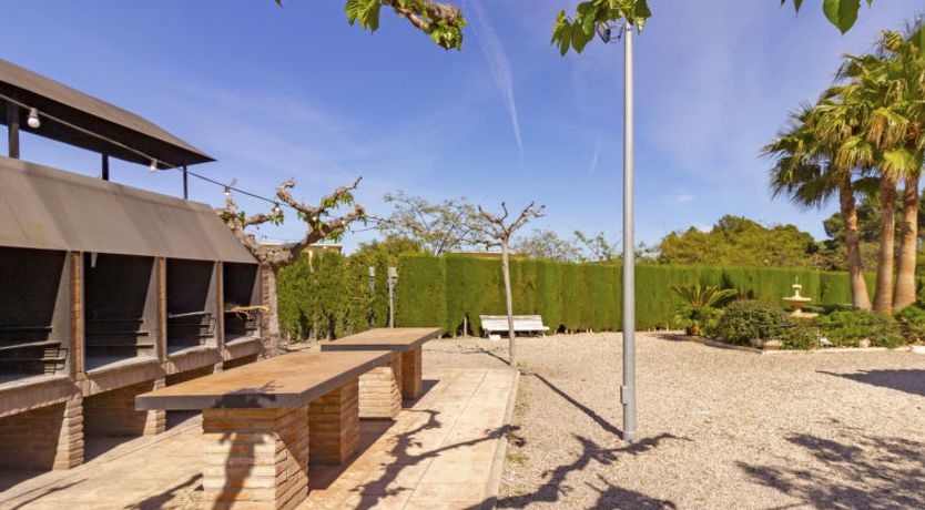 Photo of Euro Golden