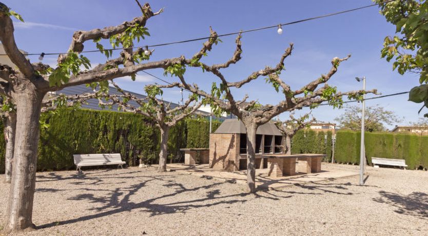 Photo of Euro Golden