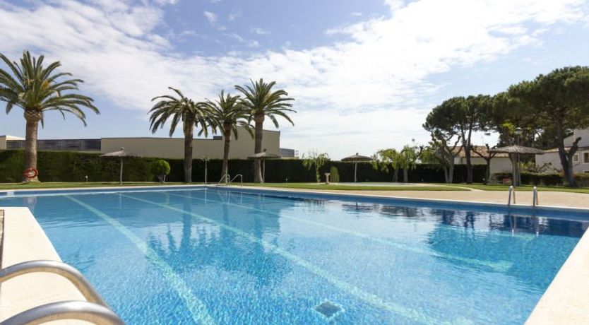 Photo of Euro Golden