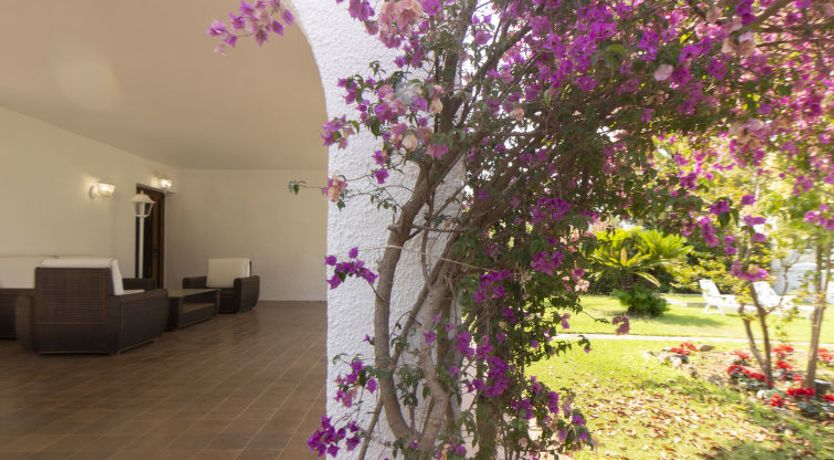 Photo of Villa Esplai