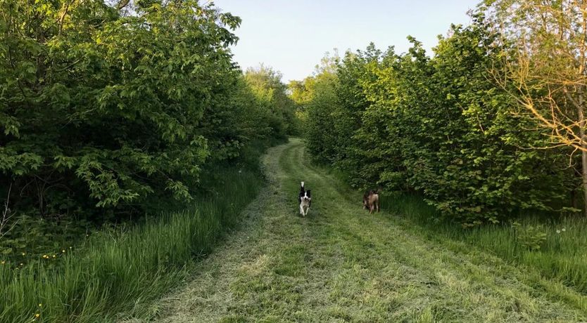 Photo of 2 Bed in Shebbear