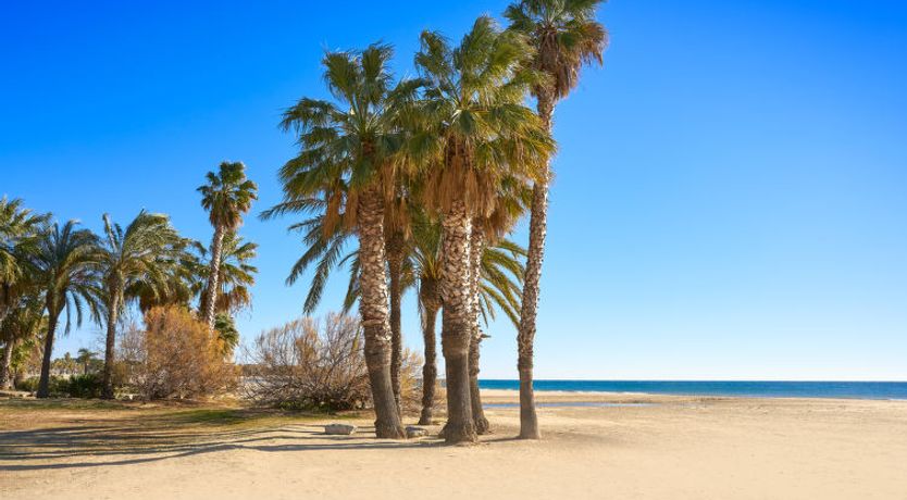 Photo of Torre del Sol