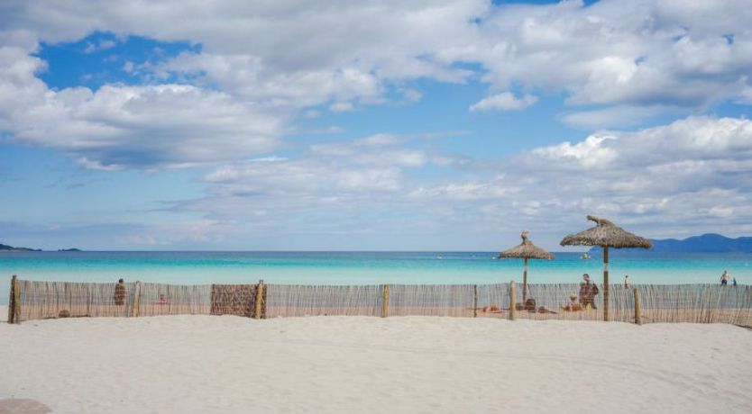 Photo of Los Girasoles