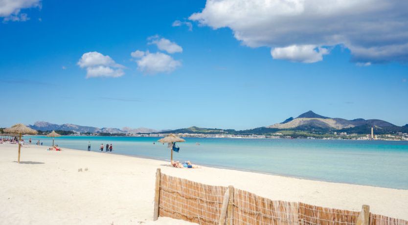 Photo of Los Girasoles