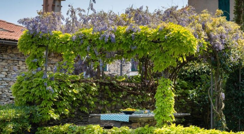 Photo of Laura (DOL281)