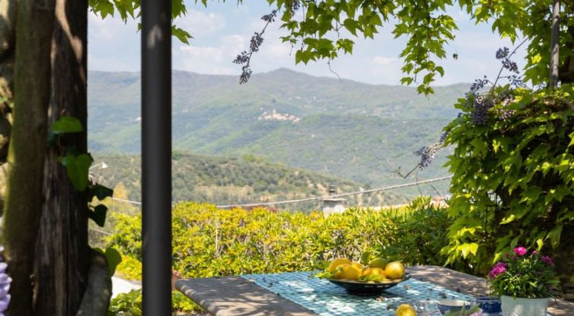 Photo of Laura (DOL281)