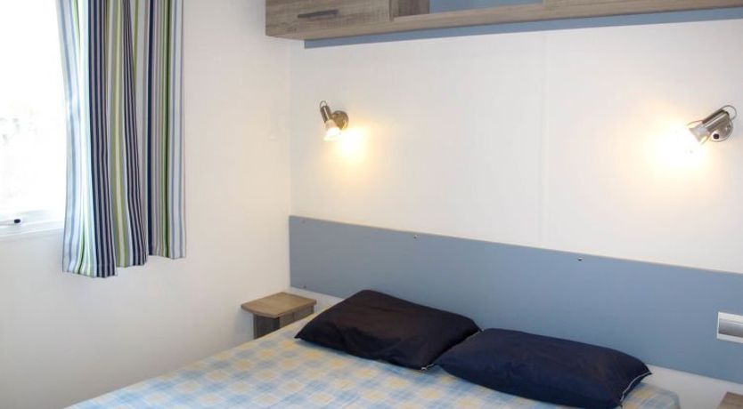 Photo of Camping Butterfly