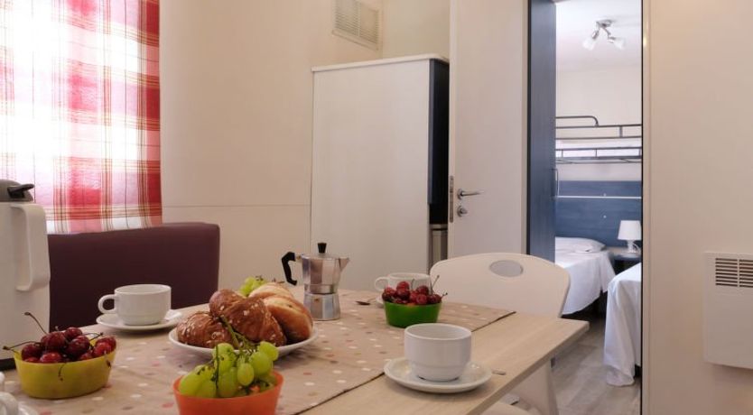 Photo of Camping Butterfly