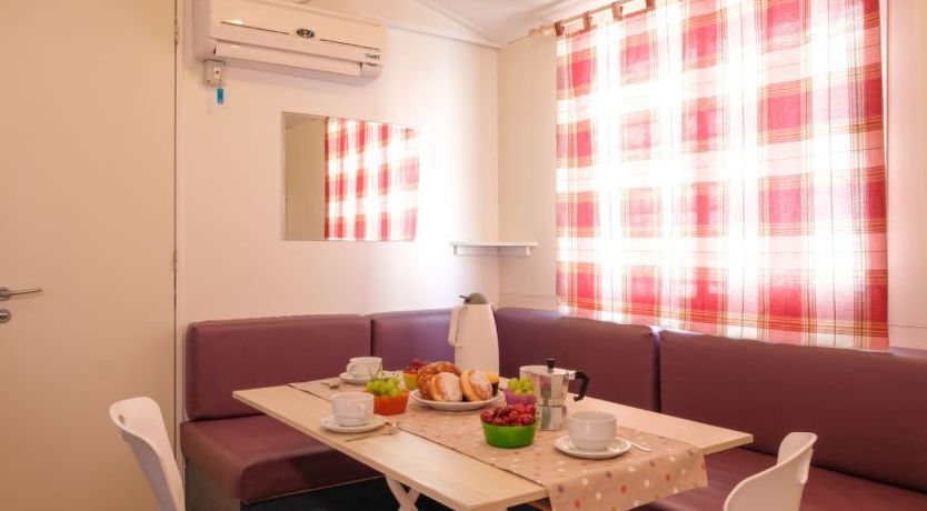 Photo of Camping Butterfly