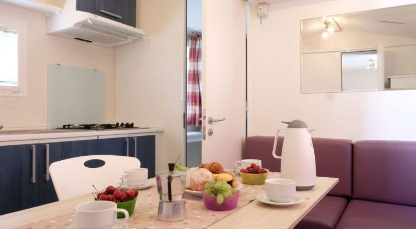 Photo of Camping Butterfly