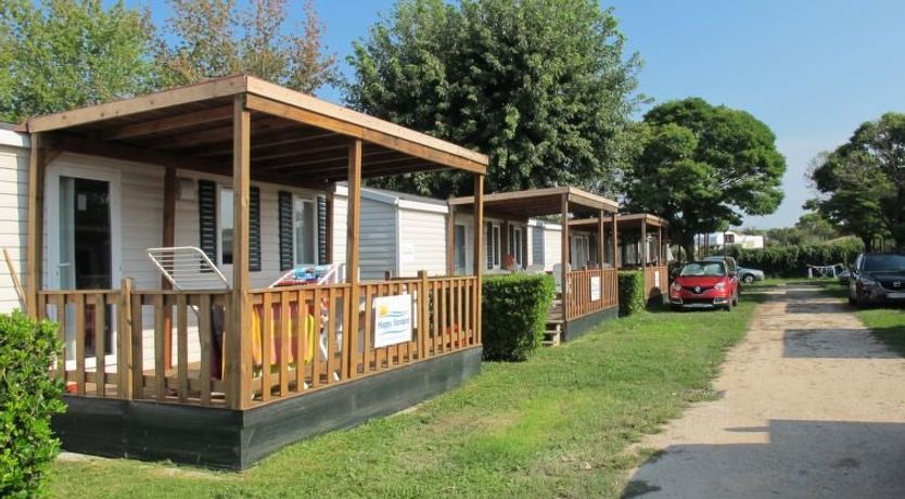 Photo of Camping Butterfly