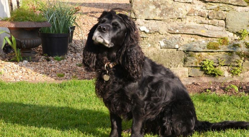 Photo of 2 Bed in South Allington