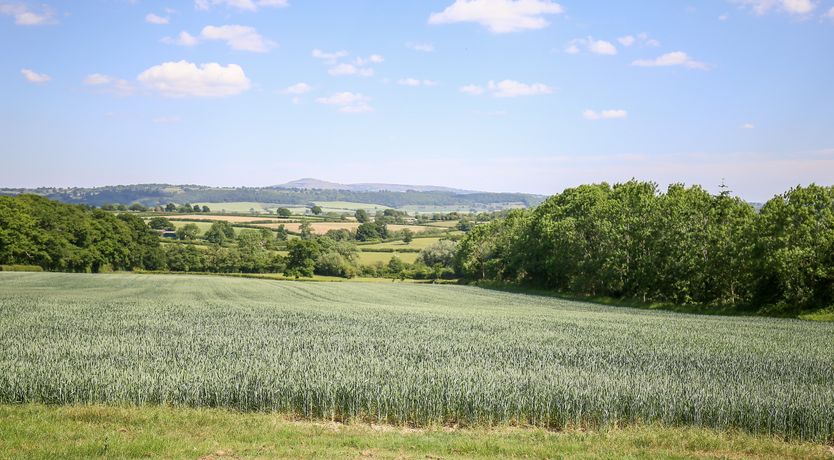 Photo of Norton Cottage
