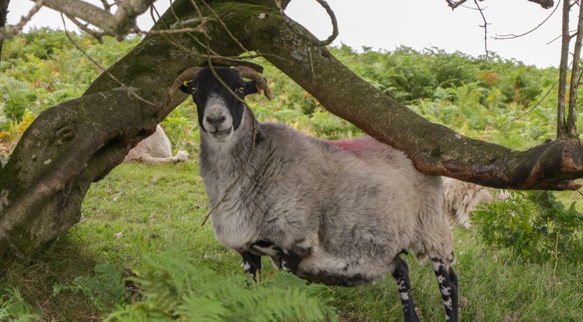 Photo of The Old Bakery