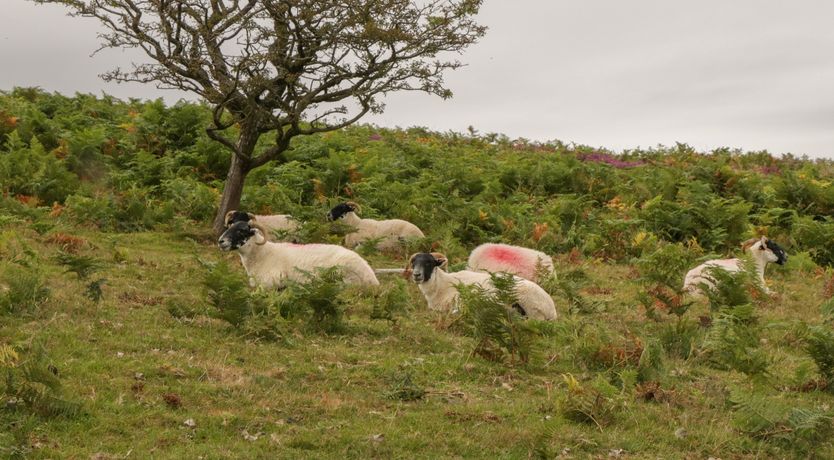 Photo of The Old Bakery