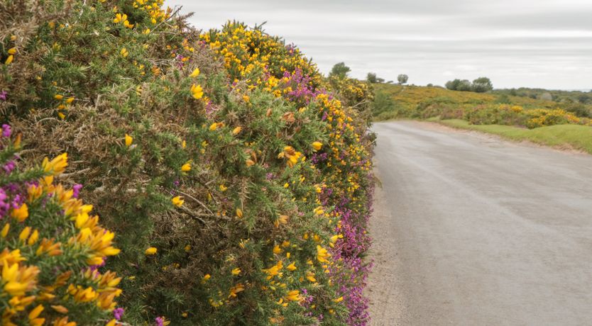 Photo of The Old Bakery