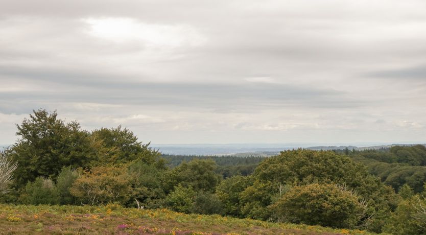 Photo of The Old Bakery
