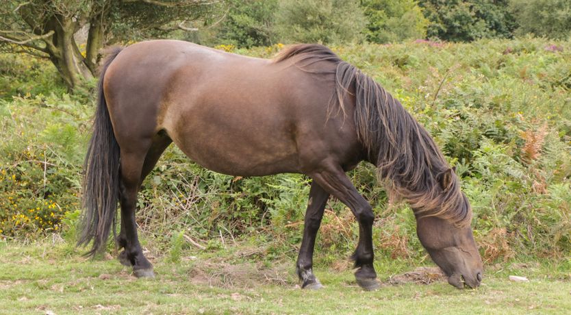 Photo of The Old Bakery
