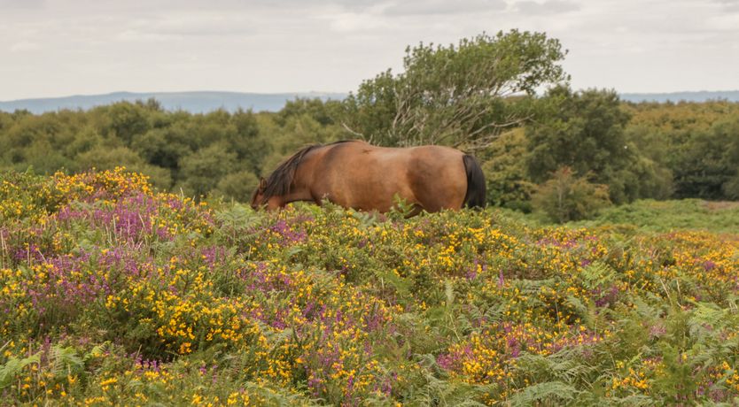 Photo of The Old Bakery