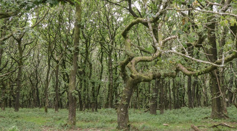 Photo of The Old Bakery