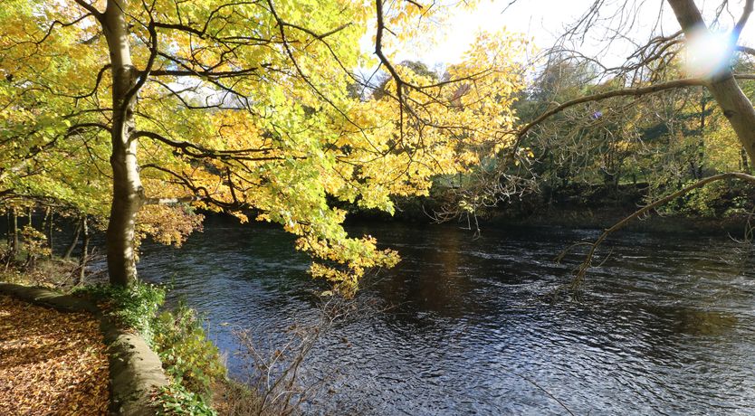 Photo of Jasmine Cottage