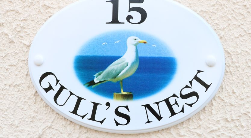 Photo of Gull's Nest