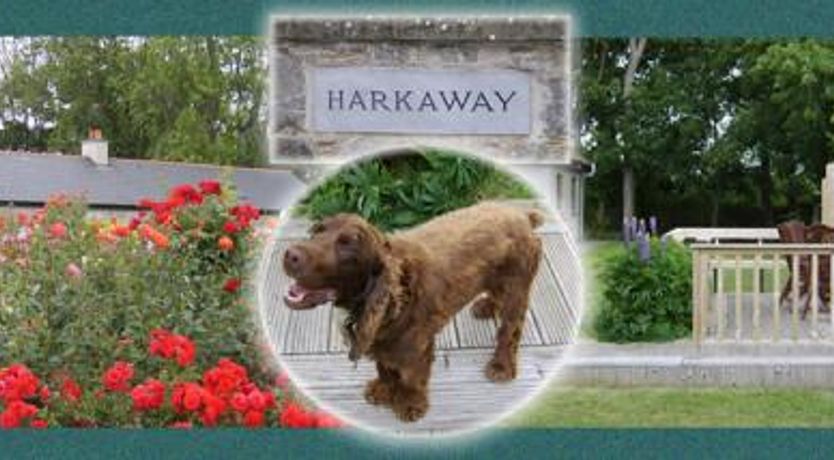 Photo of Harkaway House Cottages