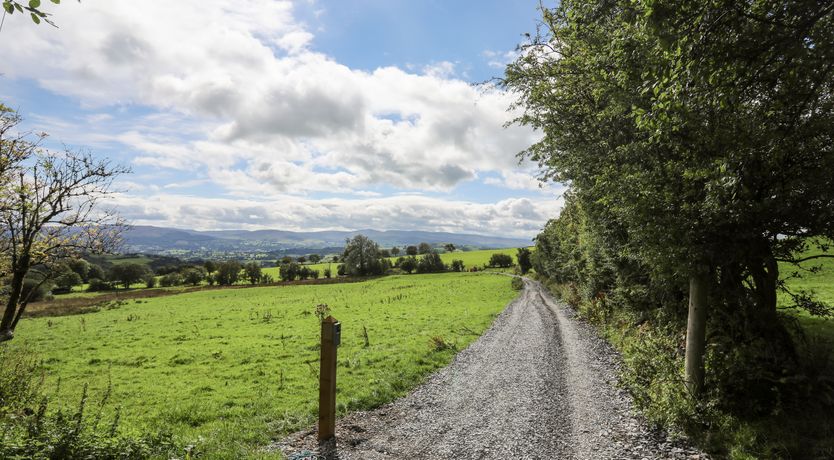 Photo of Woodland Pod