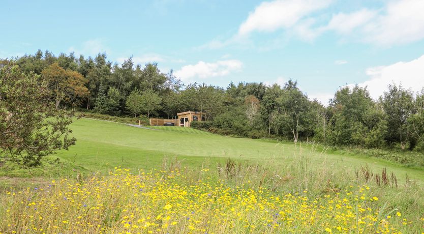 Photo of Woodland Pod