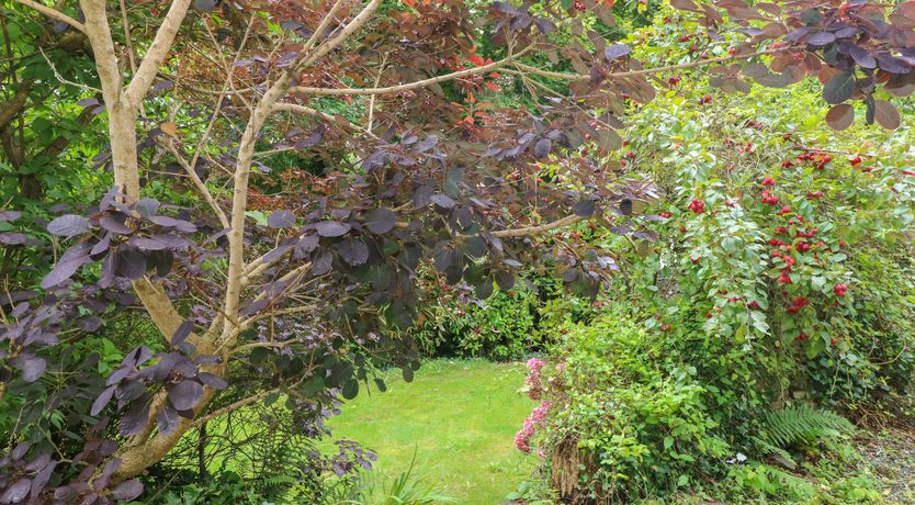 Photo of The Old Mill