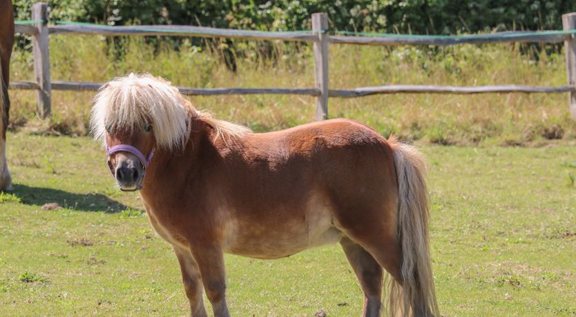 Photo of 1 Paythorne Farm Cottages