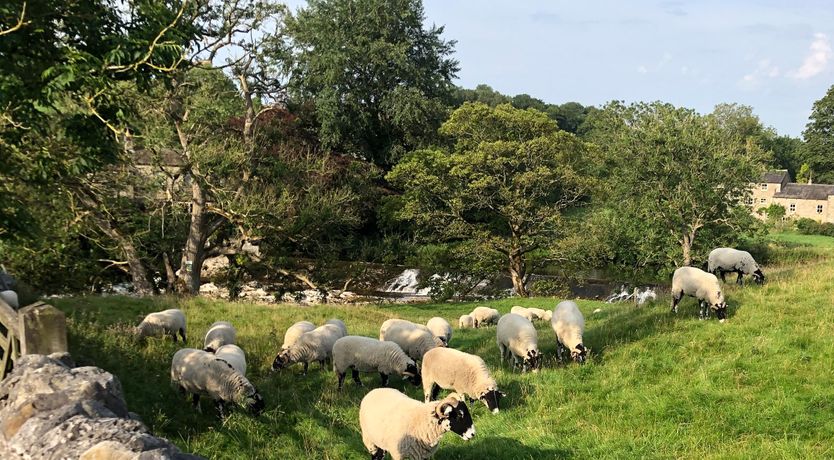 Photo of Town Head Cottage