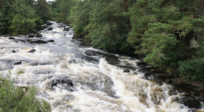 Photo of Millmore Cabin