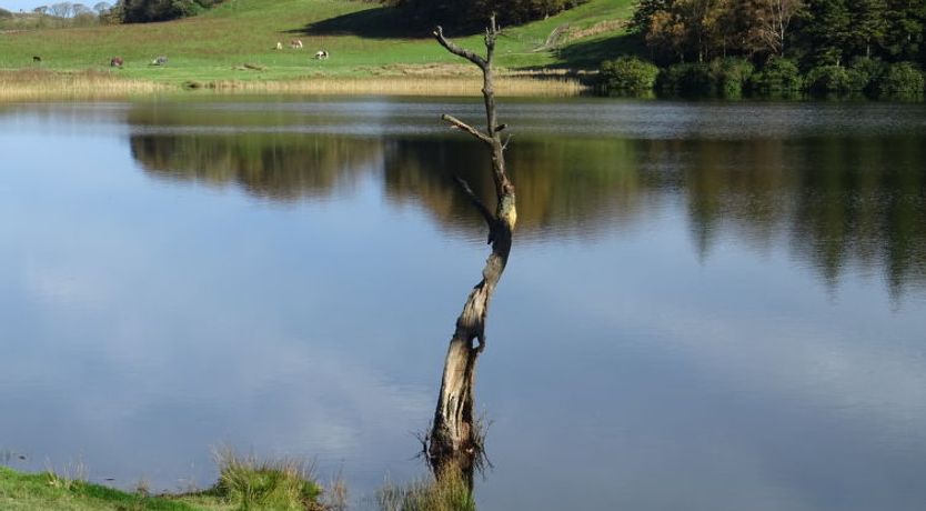 Photo of Lake District Coastal Cottage