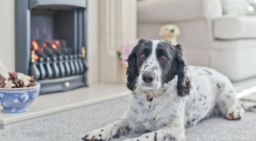 Photo of Lake District Coastal Cottage
