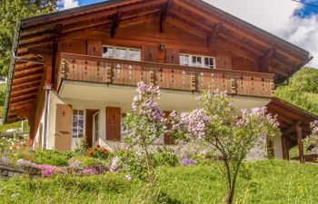 Chalet Reinhysi Holiday Home