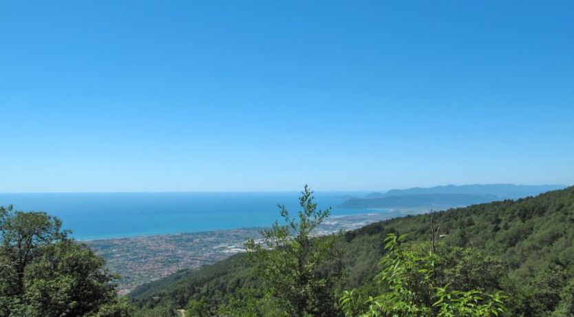 Photo of Le Ortensie