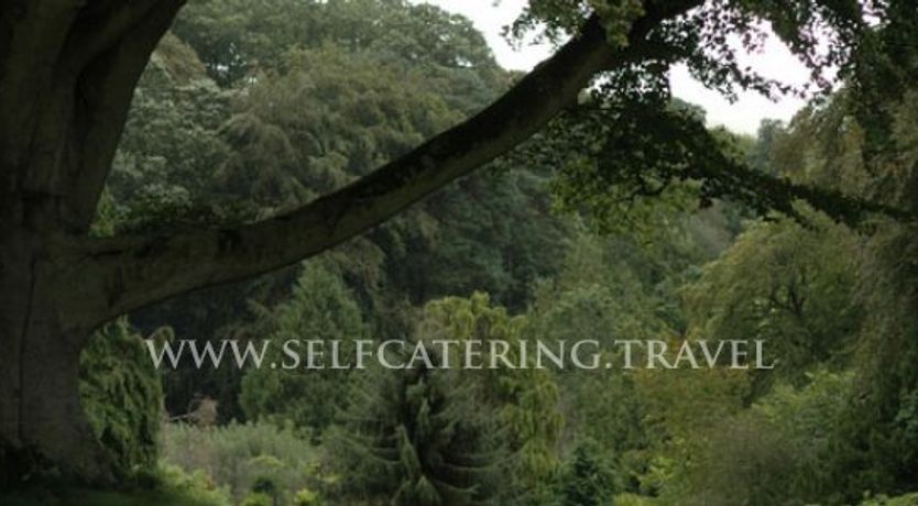 Photo of 5 Star Derry