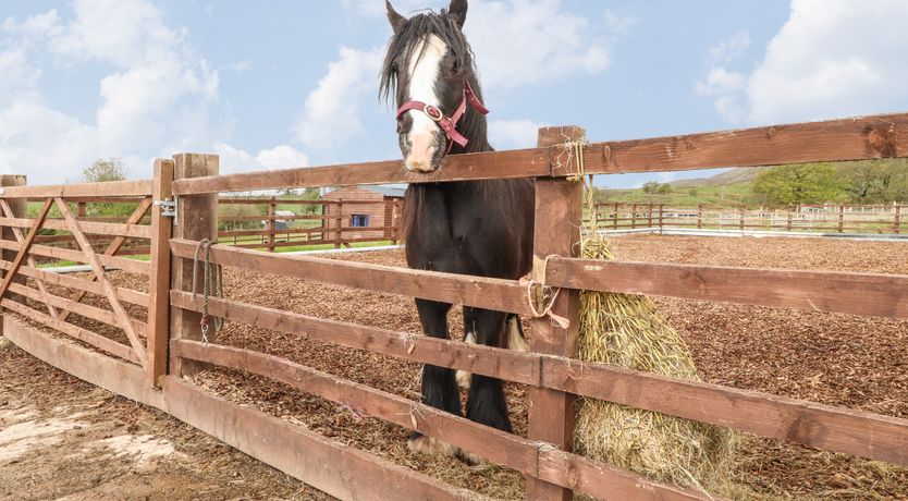 Photo of Hillcrest Croft