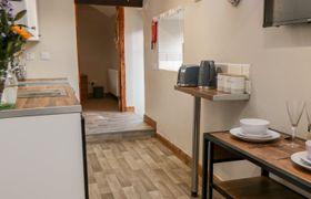 Photo of wren-2
