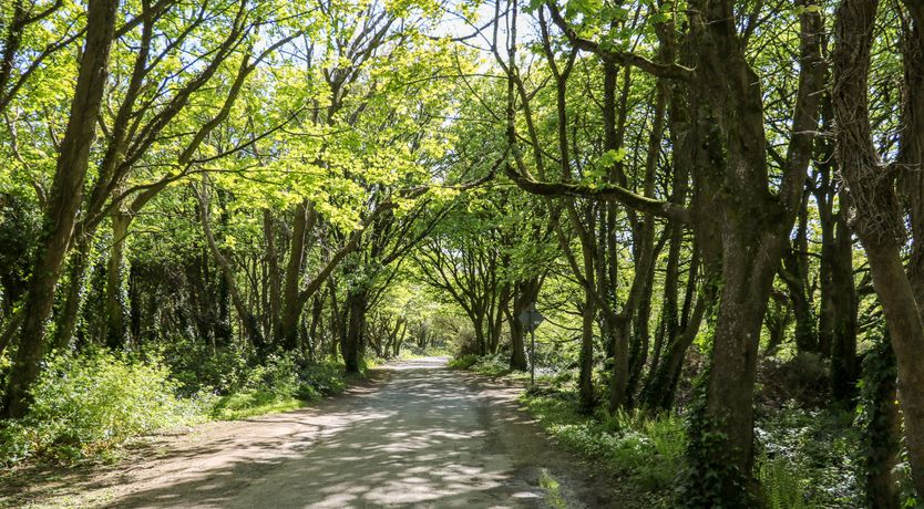 Photo of SeaChange Annexe