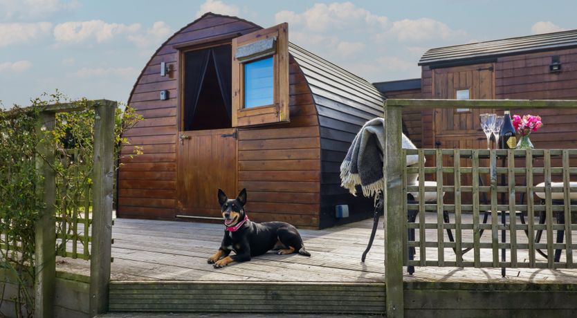 Photo of Embden Pod at Banwy Glamping
