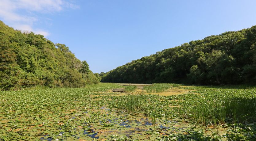 Photo of The Coach House