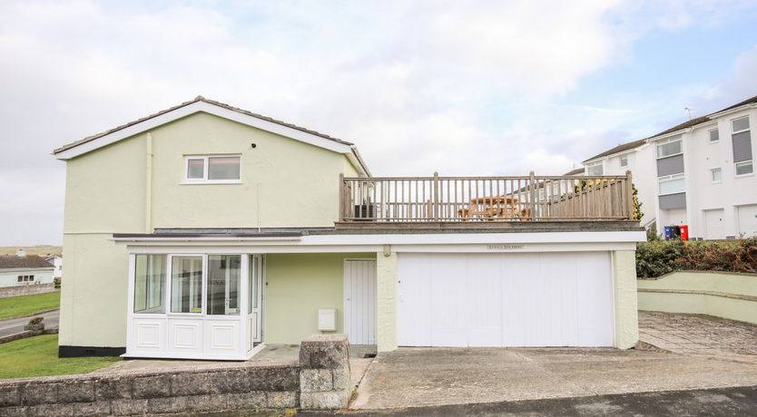 Photo of The Little Dolphins