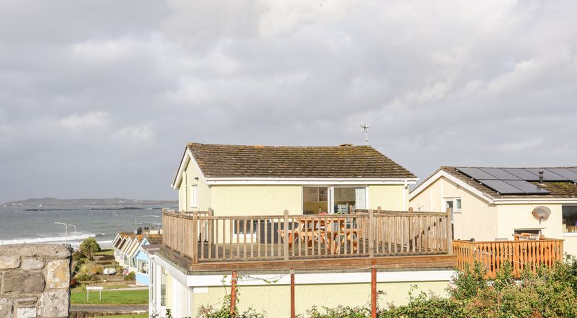 Photo of The Little Dolphins