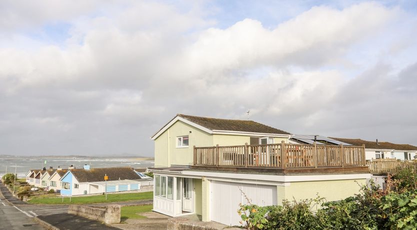 Photo of The Little Dolphins