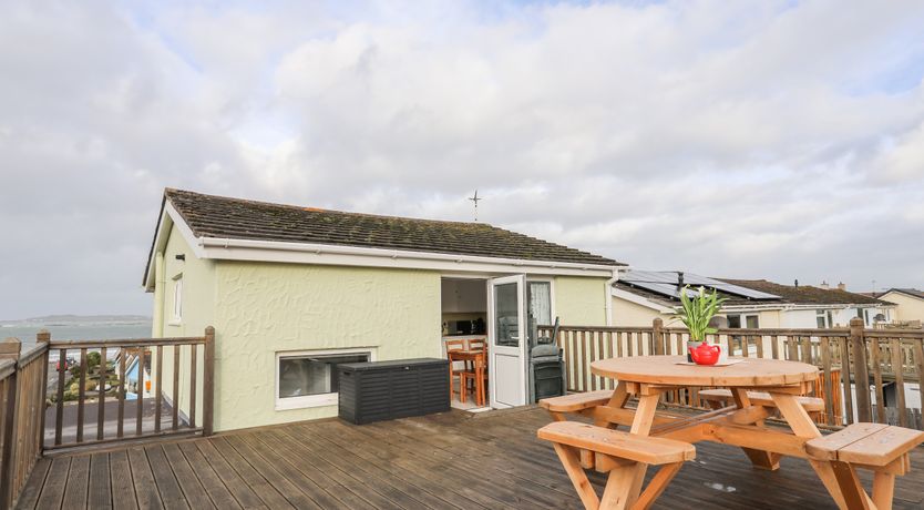 Photo of The Little Dolphins