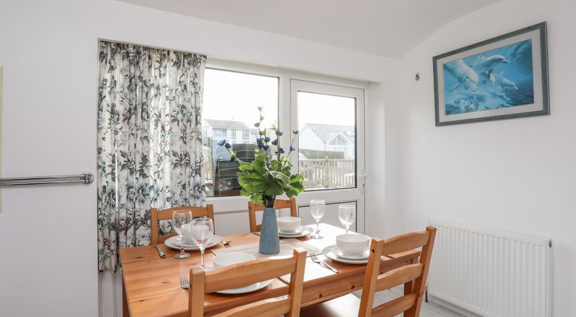 Photo of The Little Dolphins